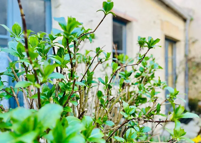 La Bonne Brise Independent With Terrace * Grandcamp-Maisy